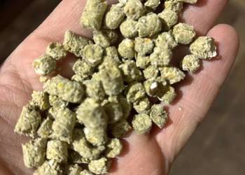 Pasza dla Koni Granulat Naturalne składniki