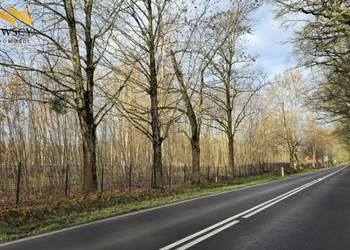 Dawidy: działka z WZ, 3001 m²