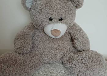 Miś maskotka duży szary