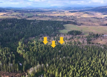 Działka Czarna 11400m2 Działka Czarna 11400m2