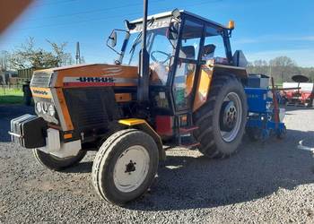 Usługi siewu kukurydzy