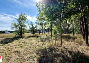 Działka Sobków 2961m2