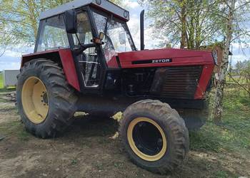 Zetor 81 11 Turbo , Zarejestrowany