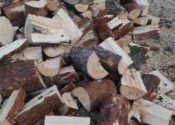 Drewno Opałowe Buk Sosna Dąb  Grab  Brzoza