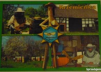 POCZTÓWKA - KASZUBY - KRZEMIENICA