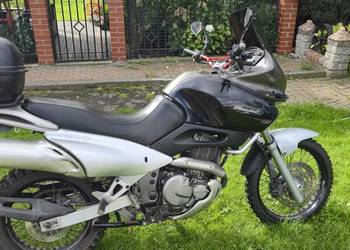 Suzuki Freewind 650