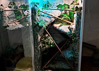 Okazja terrarium dla agamy gekona żółwia węża kameleona legwana boa pająka