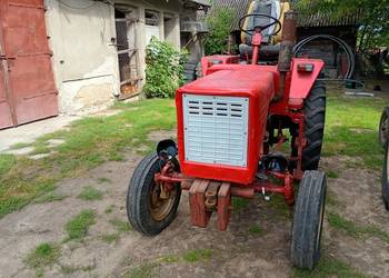 Władimirec rusek t25