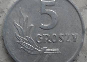 POLSKA-5 GROSZY-1971 r-AL-