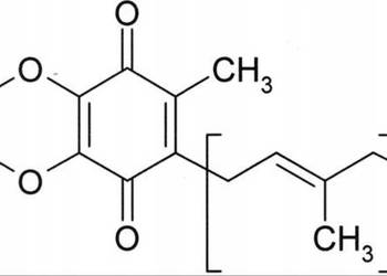 Koenzym Q10 Proszek Czysty Ubichinon 1000mg 1g