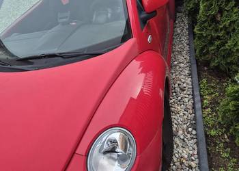 New Beetle