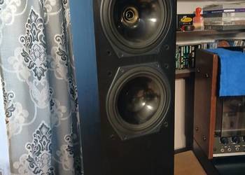 Kolumny tannoy 611