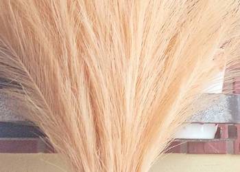 Morelowa sztuczna trawa pampasowa 40 sztuk