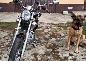 Yamaha Virago 535cc