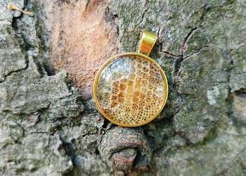 Zawieszka z Wylinką Pytona Królewskiego | Handmade | Stal Chirurgiczna |