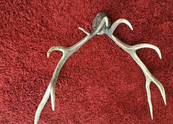 ROGI JELENIA POROŻE OKAZJA