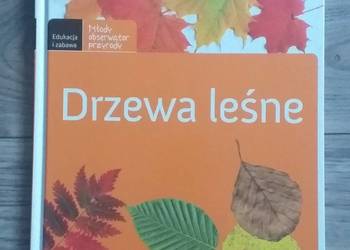 Młody obserwator przyrody - Drzewa leśne