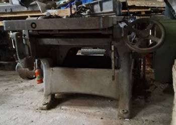 Heblarko-grubościówka 60 cm