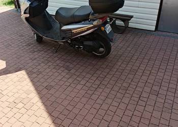Skuter