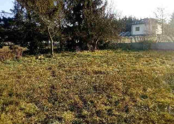 2ha Pod DziaŁalnoŚĆ GospodarczĄ