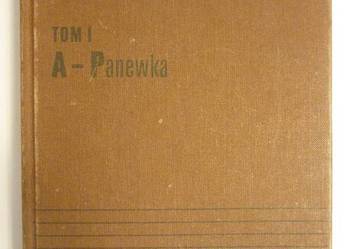 PODRĘCZNY SŁOWNIK POLSKO-ANGIELSKI TOM I