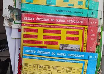 Nauka ortografii zestaw książek język polski księgarnia okaz