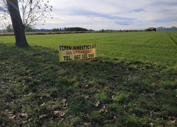 Na sprzedaż sprzedaż nieruchomości gruntowych Wierzbice (woj. dolnośląskie…