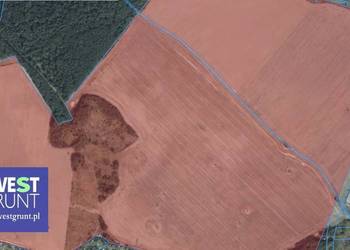 [301,30 ha] grunty rolne przetarg na dzierżawę