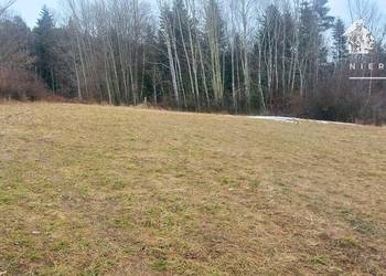 Widokowa działka budowlana 41 a – Siary, gm. Sękowa 1172S/2026