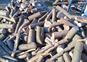 Sprzedam drewno kominkowe buk.