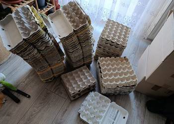 pojemniki na jajka wytłaczanki wytłaczanka pojemnik 161 sztuk