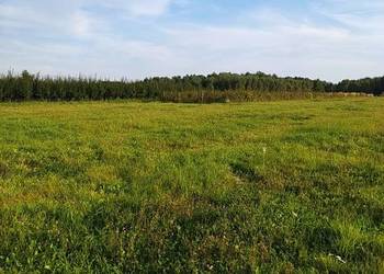 Piękna działka  2.88 hektara -  Prace Małe -