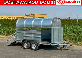 Przyczepa do przewozu transportu zwierząt hodowlanych agroturystyka alpaki
