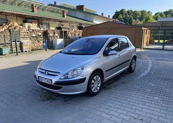 Peugeot 307 1.6 benzyna
