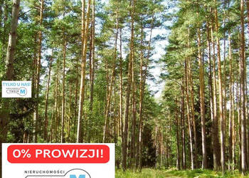 Oferta sprzedaży działki Chmielnik 431000m2