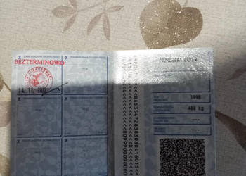 Przyczepka samochodowa SAM