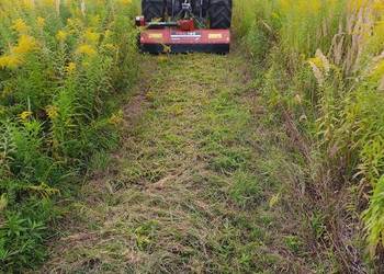 Koszenie traw i zarośli
