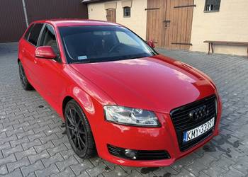 Audi A3 8P lift 2010 Audi A3 8P lift 2010
