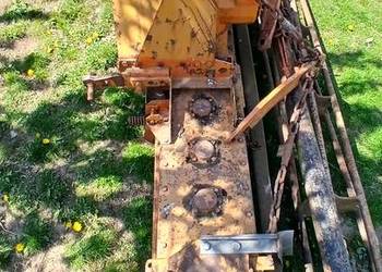 Brona Wirowa Maschio 3m