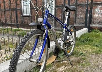 Rower Giant Cruiser Simple