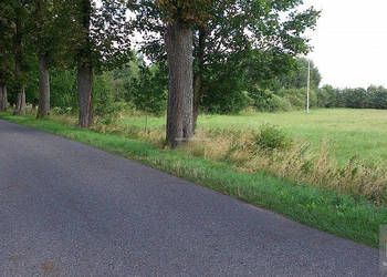 Sprzedaż działki 5000m2 Kołczewo okolica - 2 km