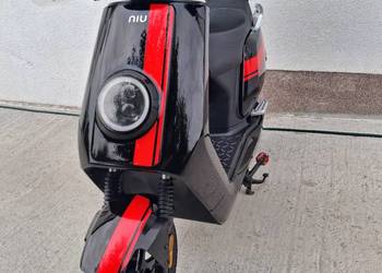 NIU N GT 2019r. Salon Polska bezwypadkowy serwis skuter elektryczny