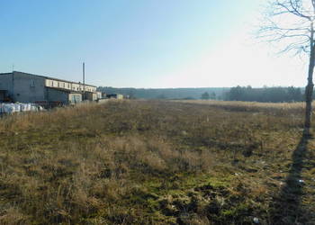Syndyk sprzeda - Mogielnica, dz. nr 1657 i 1746