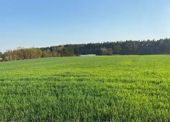 Działka budowlana na sprzedaż uzbrojona