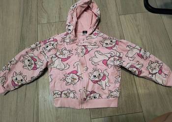 Bluza
