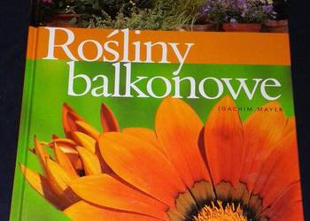Rośliny balkonowe - Joachim Mayer