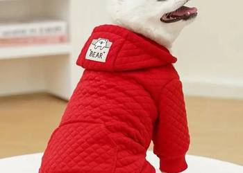 Czerwona, ciepła bluza dla małego pieska (L)