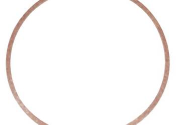 Uszczelka odstojnika pływaka (4169) 270511