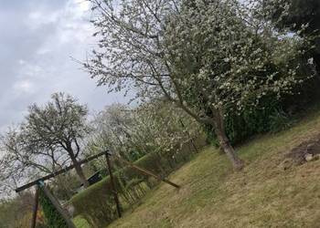 Sprzedam działkę rekreacyjną ROD „Magnolia” w Legnicy przy ul. Chojnowskiej