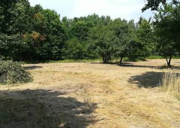 Działka Sobików 5000m